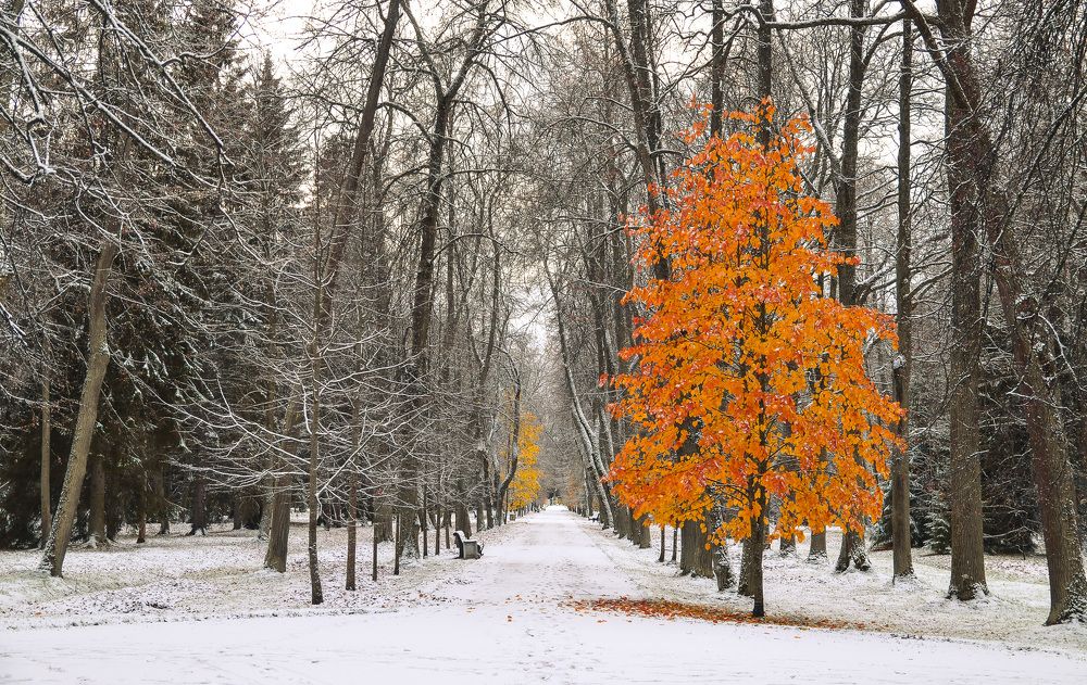 Photograph by Валерий Верещако
