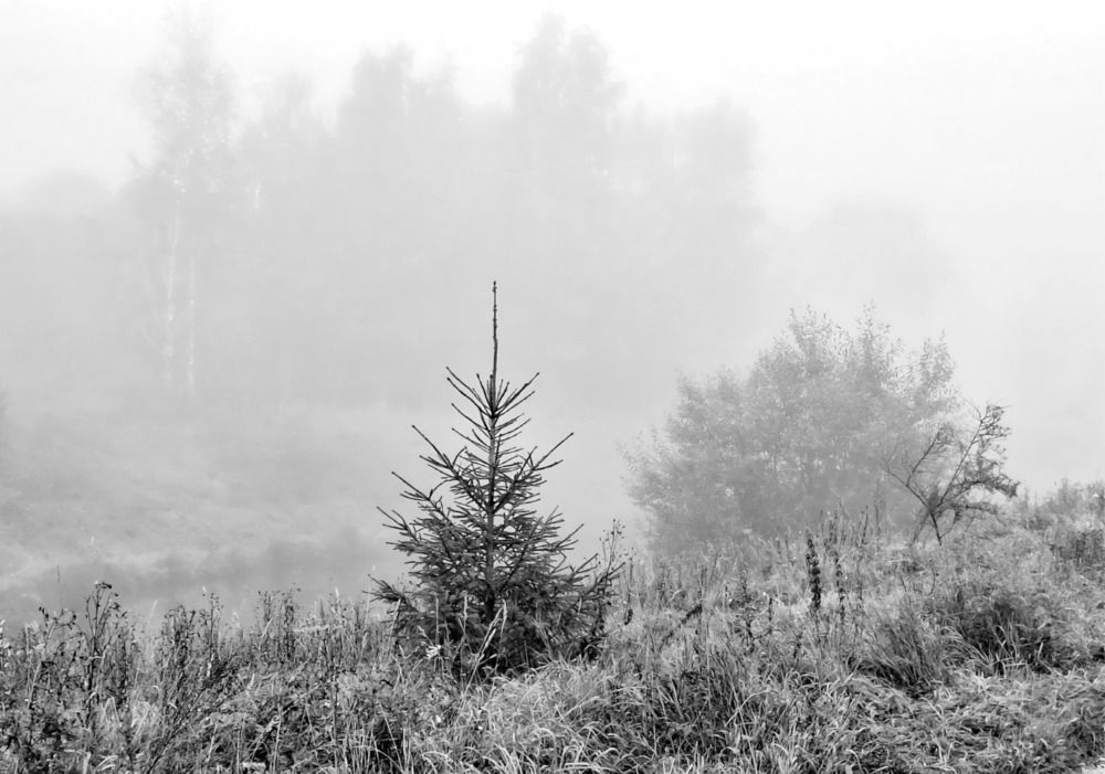 Photograph by Татьяна Слесарева