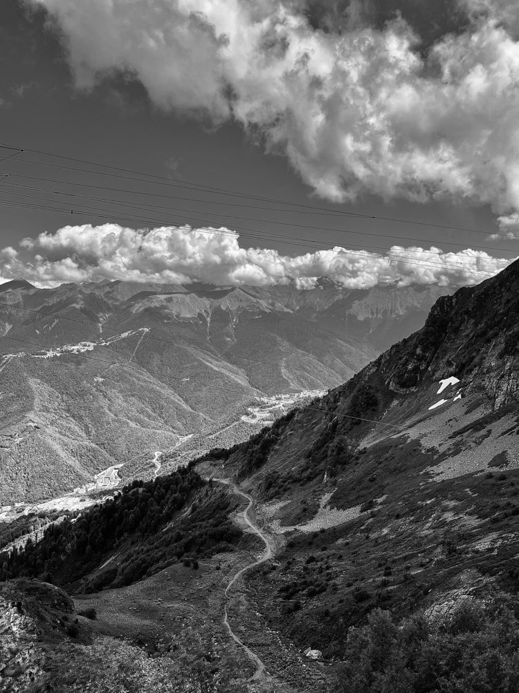 Photograph by Алина Волгина