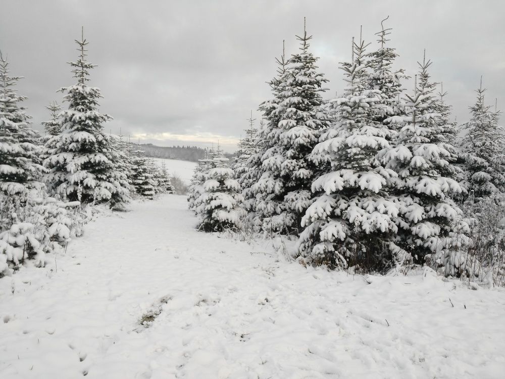 Фотография автора Ekaterina Palant