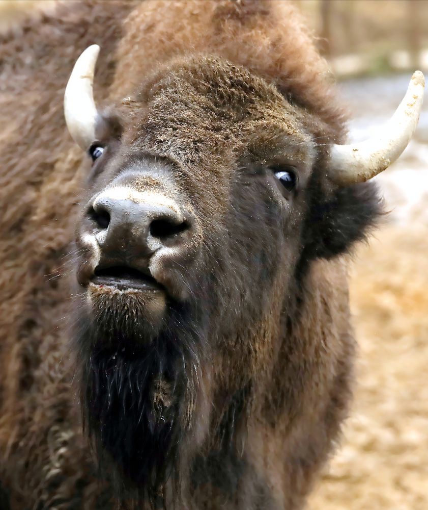 Photograph by Татьяна Слесарева