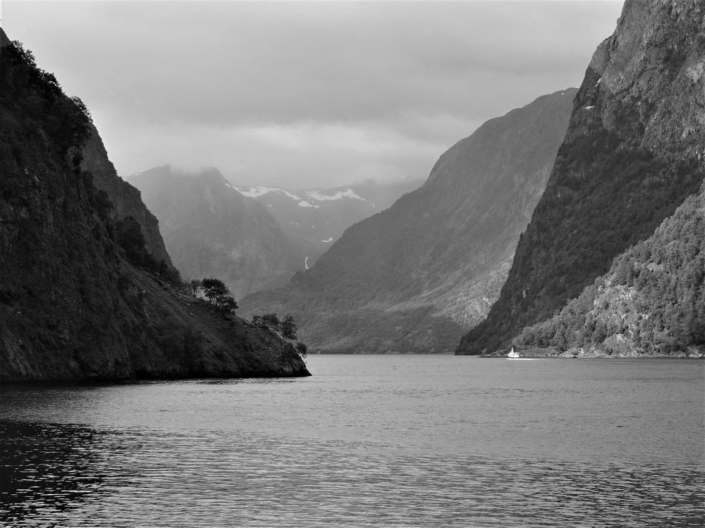 Photograph by Мила Милая