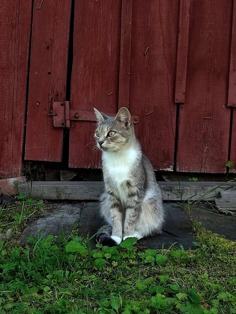 Photograph by Наталья Смирнова