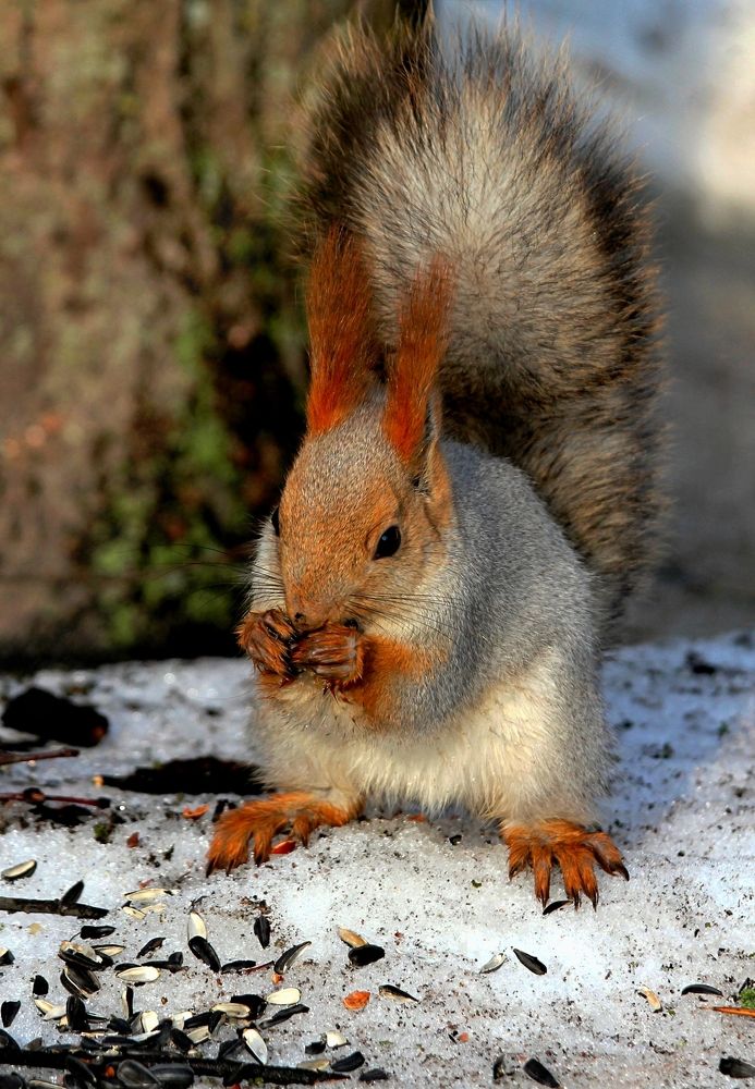 Photograph by Татьяна Слесарева