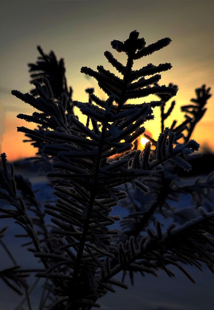 Photograph by Наталья Смирнова