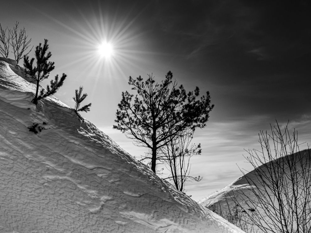 Photograph by Людмила Баймухаметова