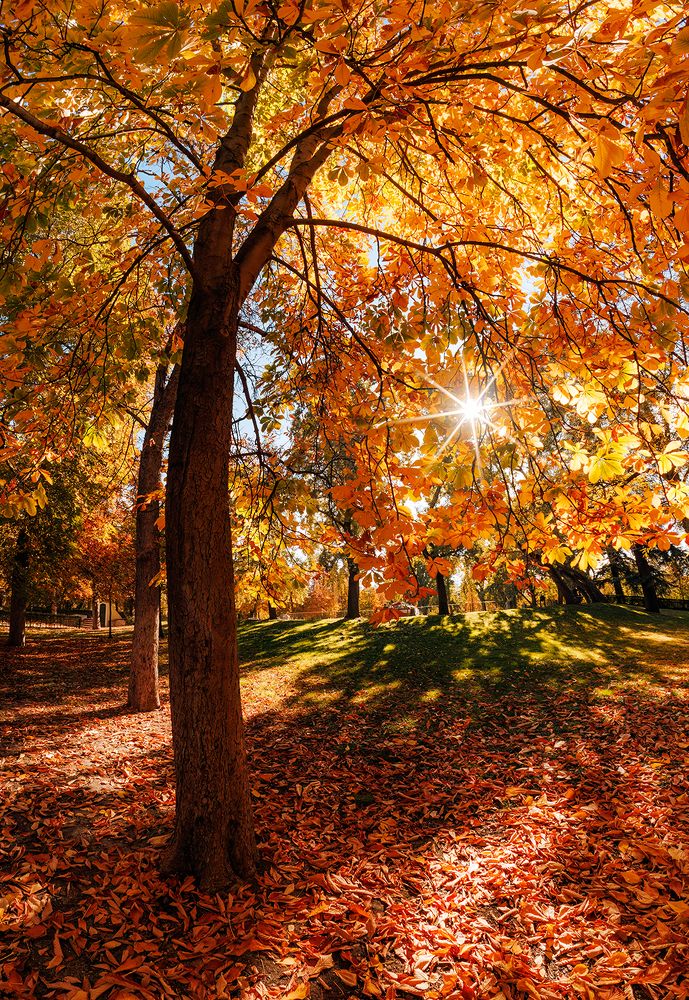 Photograph by Josue Friedrich