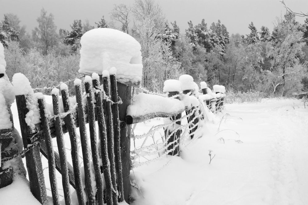 Photograph by Pavel Gukov