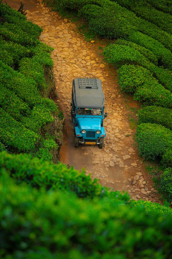 Feels like toy jeep