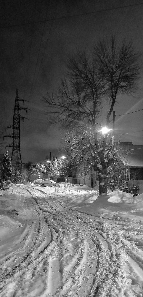 Photograph by Елена Сабирова