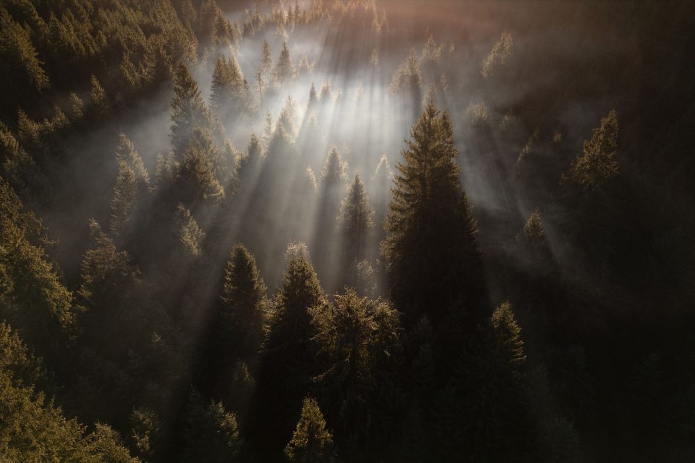 Photograph by George Alexandru Ghiuro