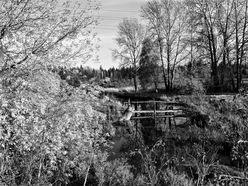 Photograph by Николай Худяков