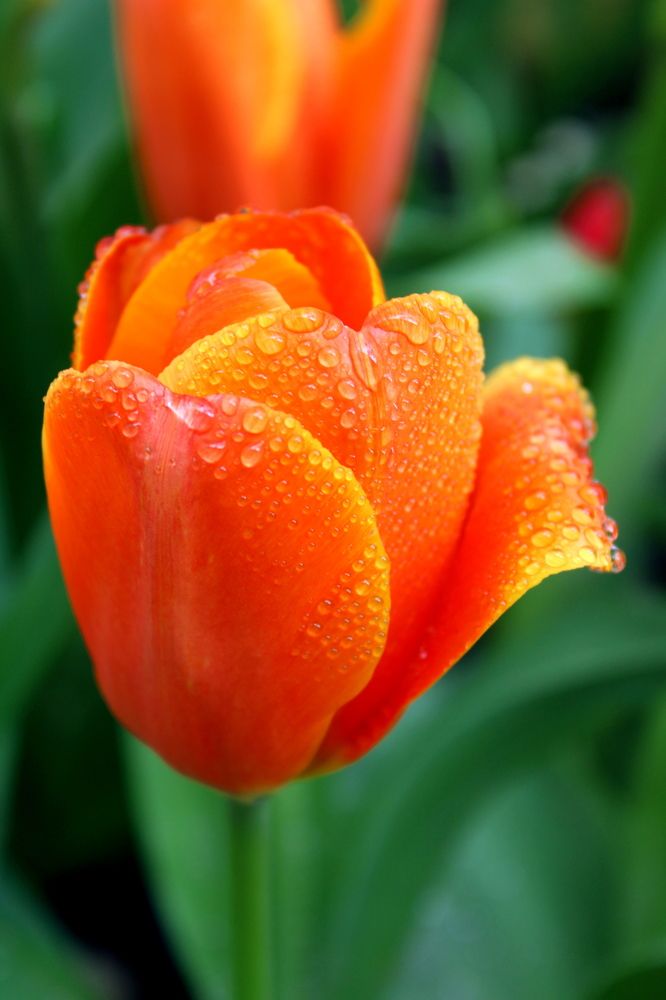 Photograph by Николай Немчанинов