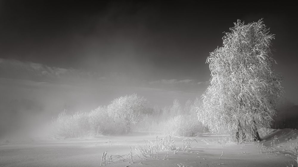 Фотография автора Александр Рудный