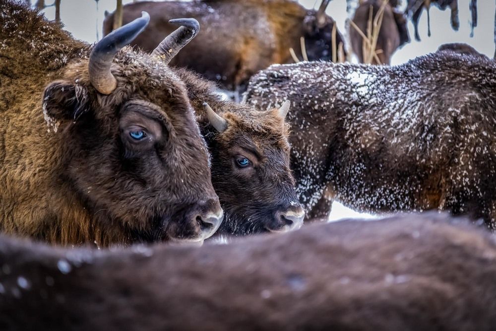 Photograph by Egor Ugrof