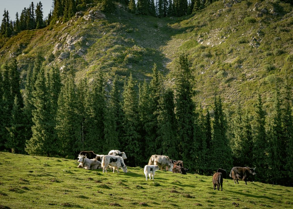 Photograph by Иван Труфанов