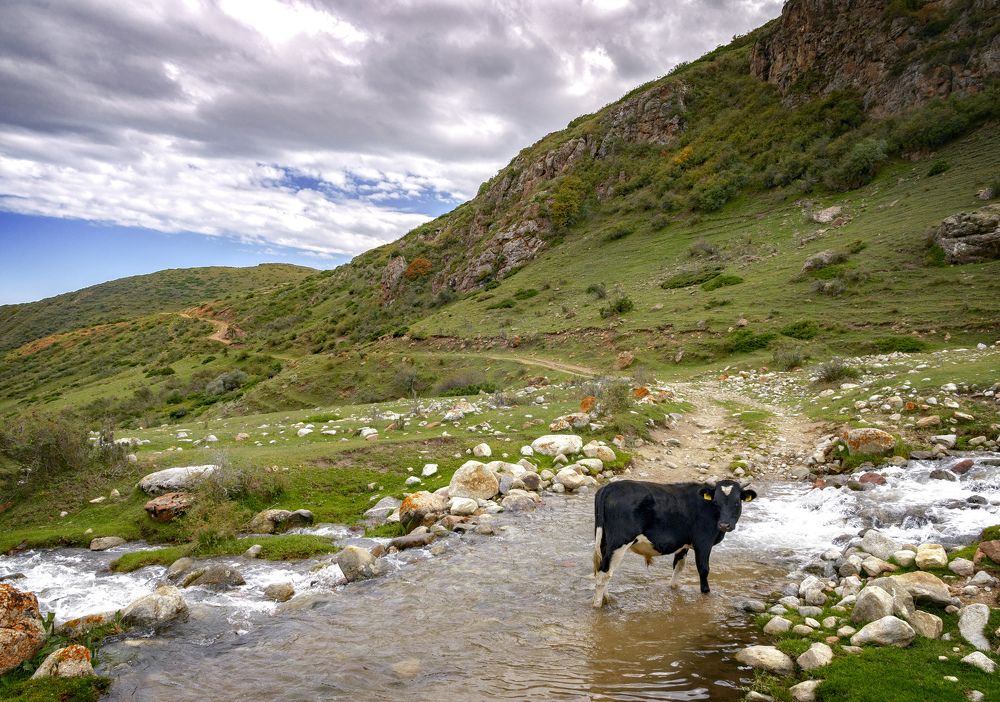 Photograph by Иван Труфанов