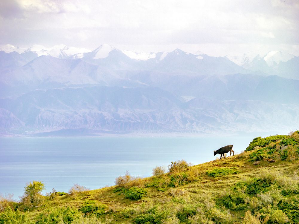 Photograph by Иван Труфанов