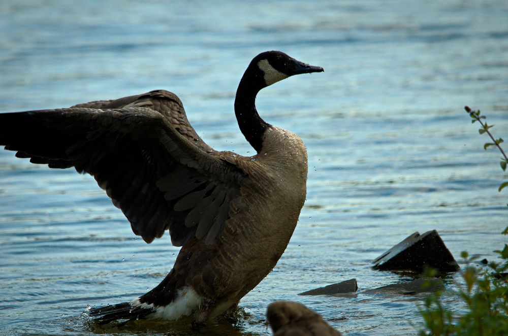 Photograph by Ken Oliver