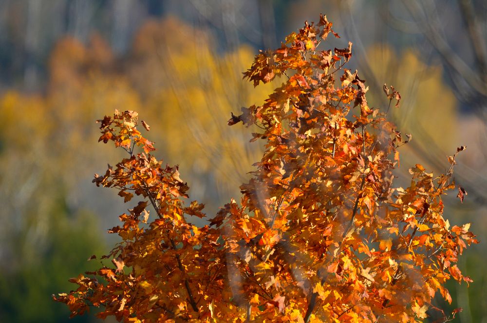 Photograph by Ken Oliver