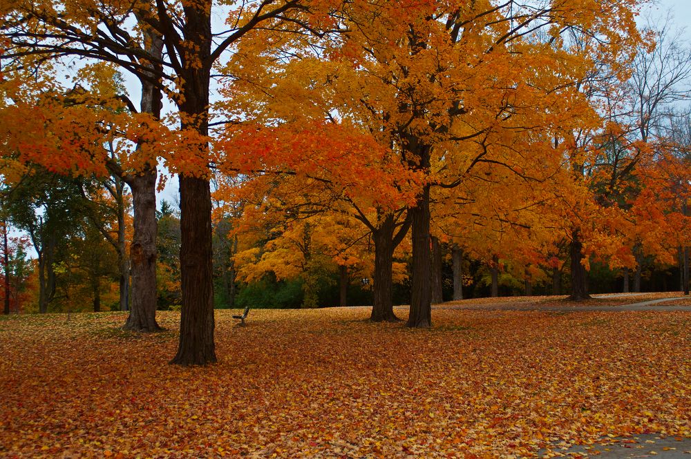 Photograph by Ken Oliver