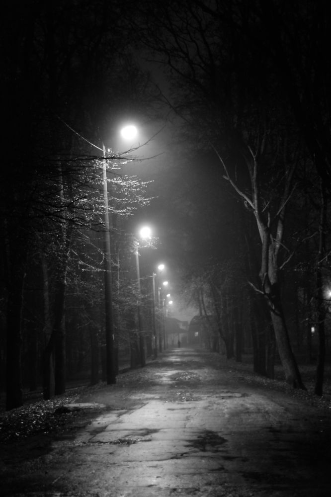 Photograph by Ольга Рыкова