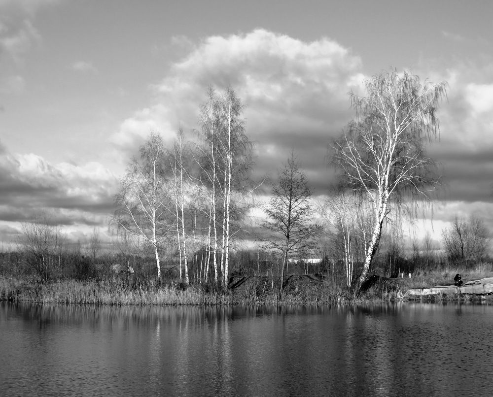 На пруду за городом