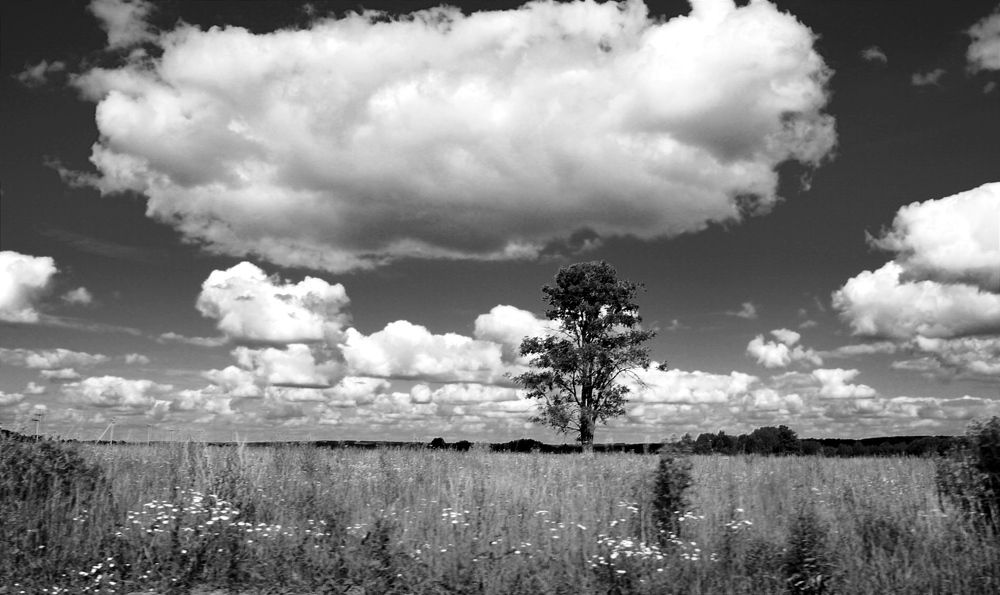 Photograph by Владимир Ким