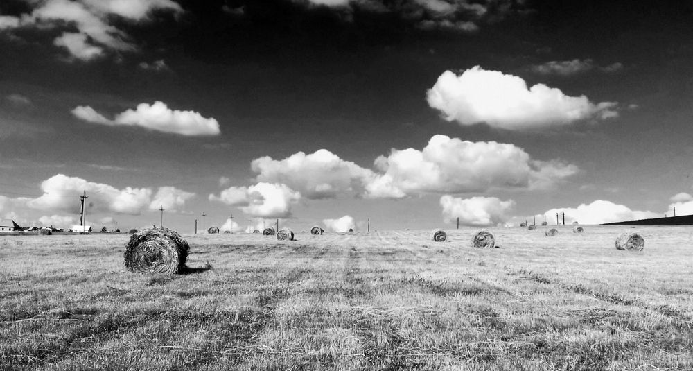 Photograph by Владимир Ким