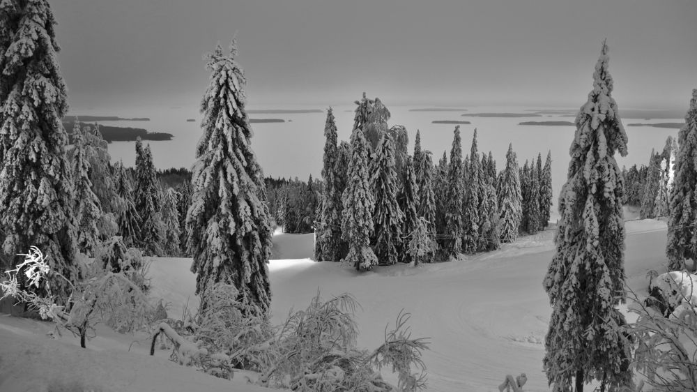 Photograph by Николай Раппу