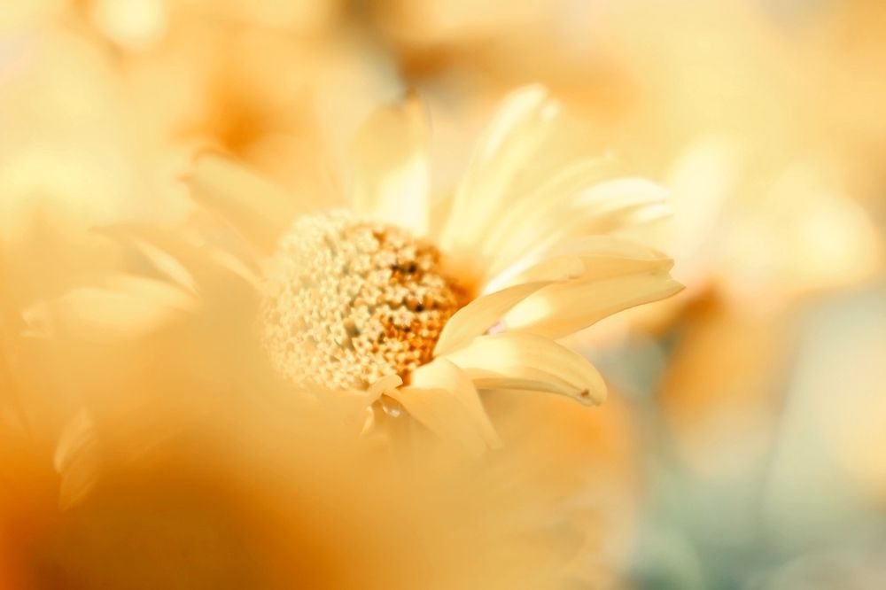 Photograph by Илья Медведев