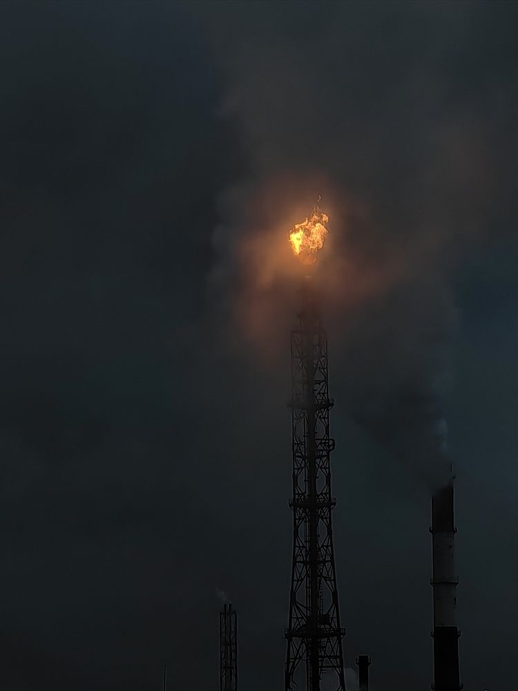 Photograph by Жанна