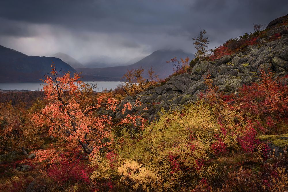Photograph by Марина Мурашова