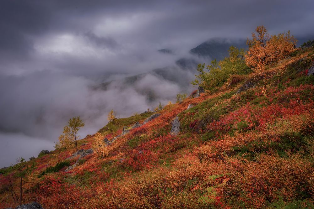 Photograph by Марина Мурашова