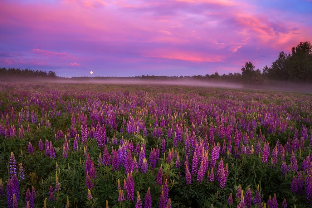 Photograph by Марина Мурашова