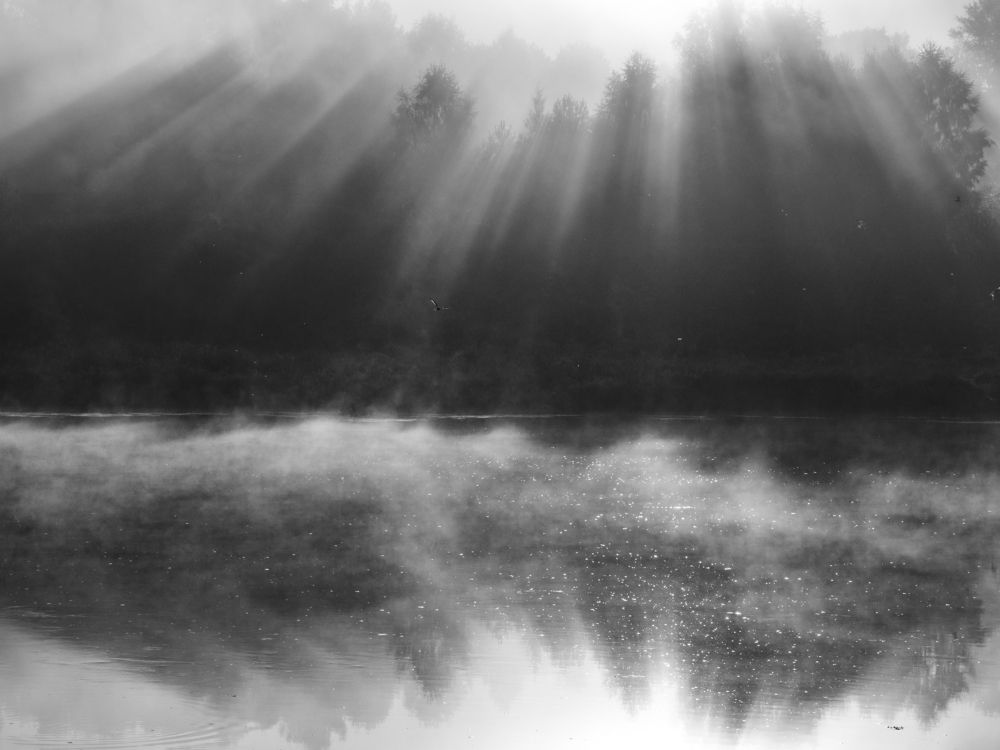 Photograph by Надежда Михайлина