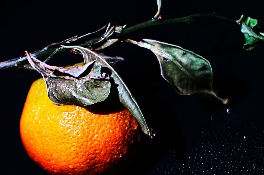 Photograph by Оксана Шарагина