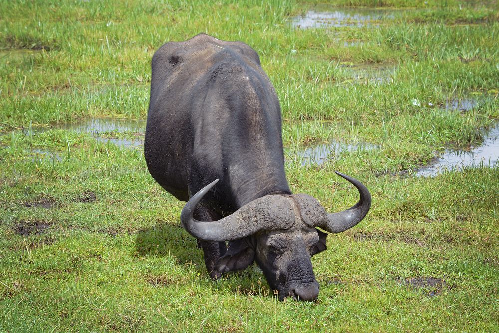 Photograph by Inna Ivanova