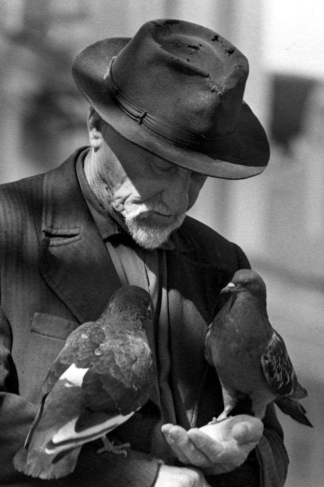 Photograph by Cергей Абакумов