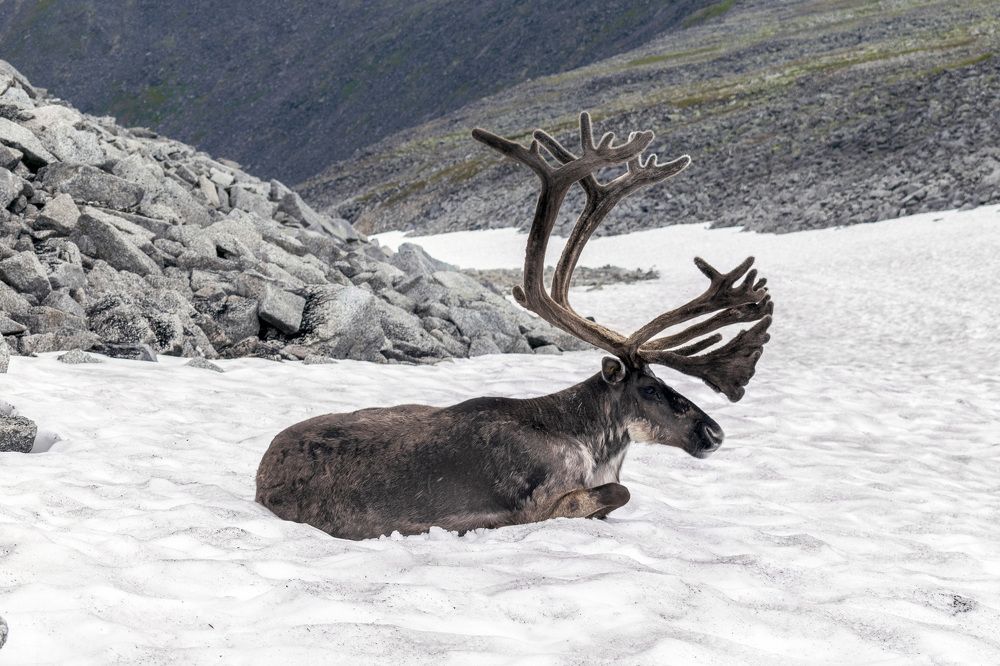 Photograph by Александр Пономарёв