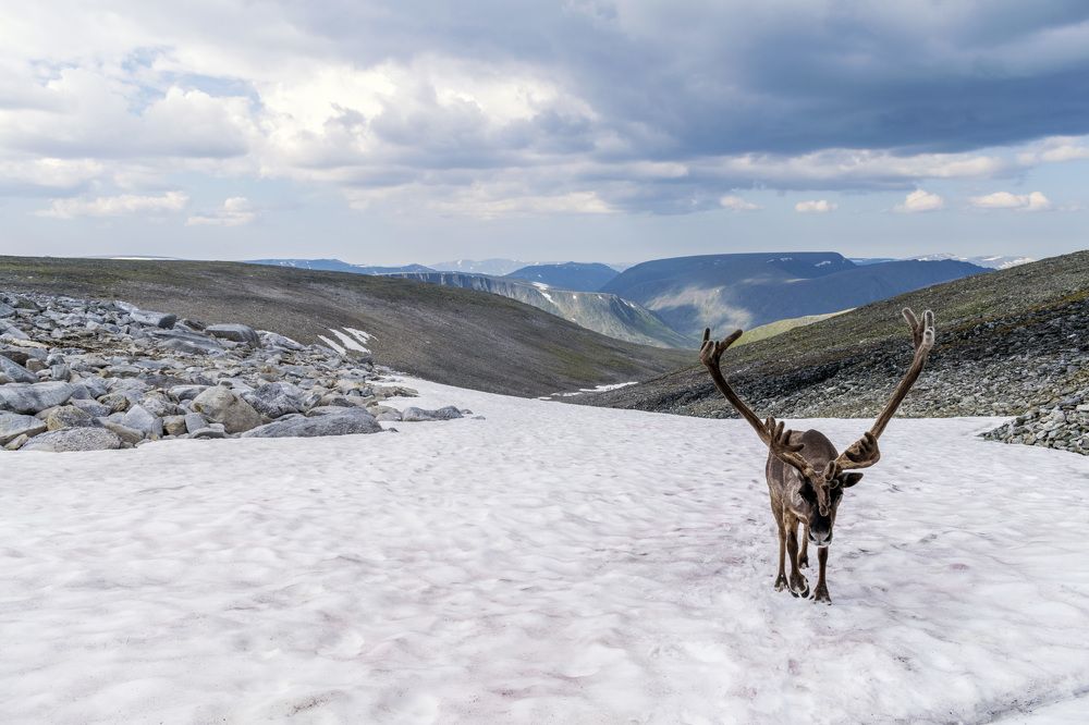Photograph by Александр Пономарёв