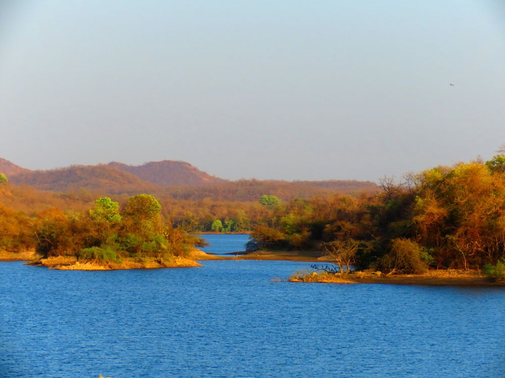 Photograph by SUCCESS LOVER