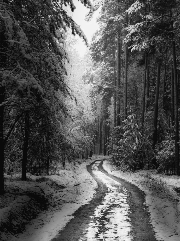 Photograph by Konstantin Martynov