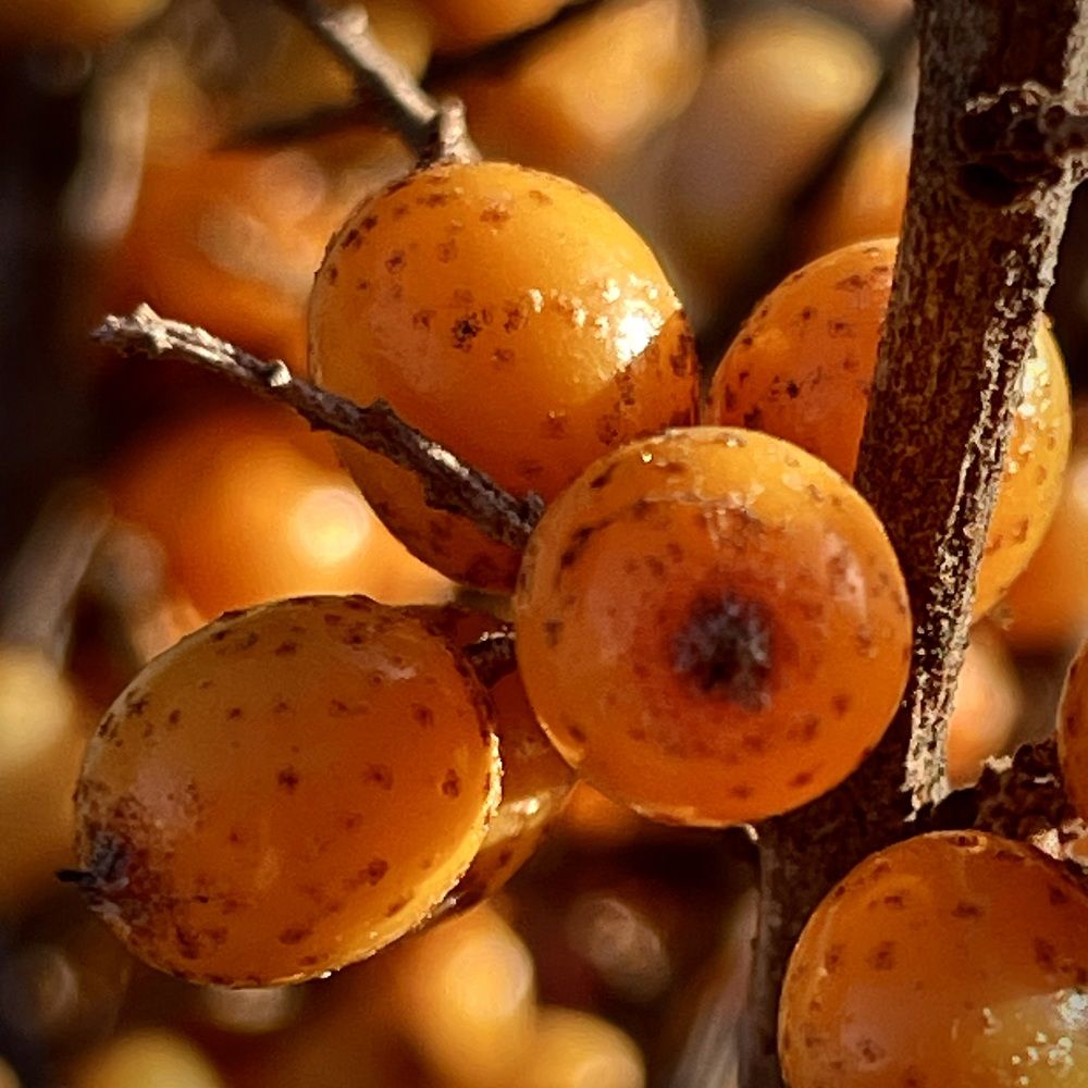 Photograph by Nadya Sterligova