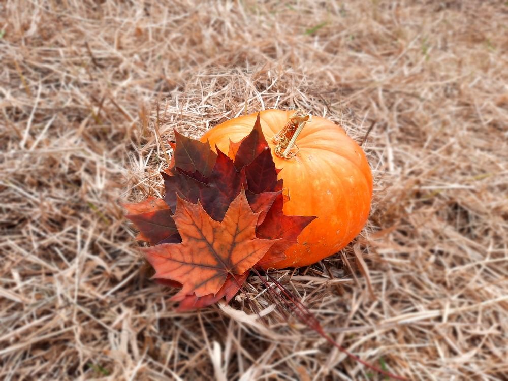 Photograph by Irina Alexandrova