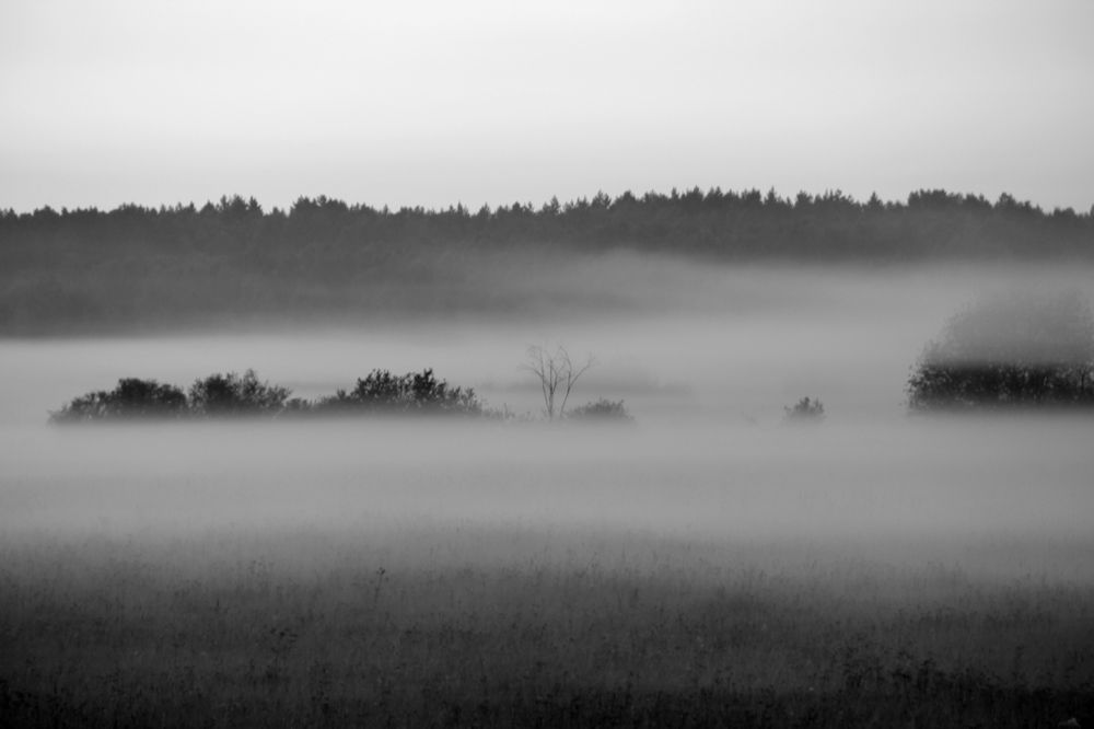 Photograph by Герасимов Игорь