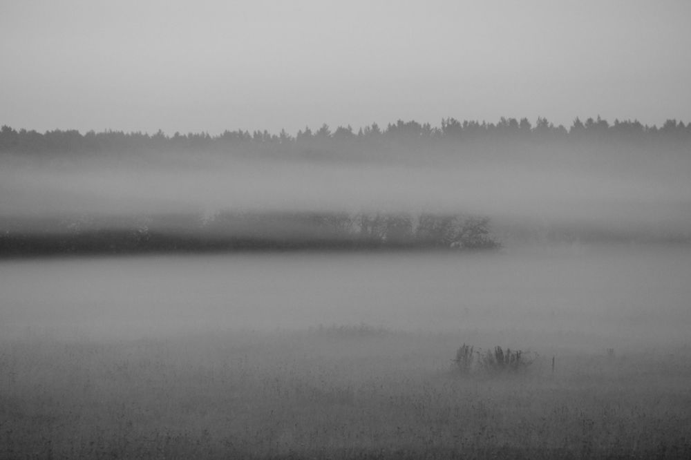 Photograph by Герасимов Игорь