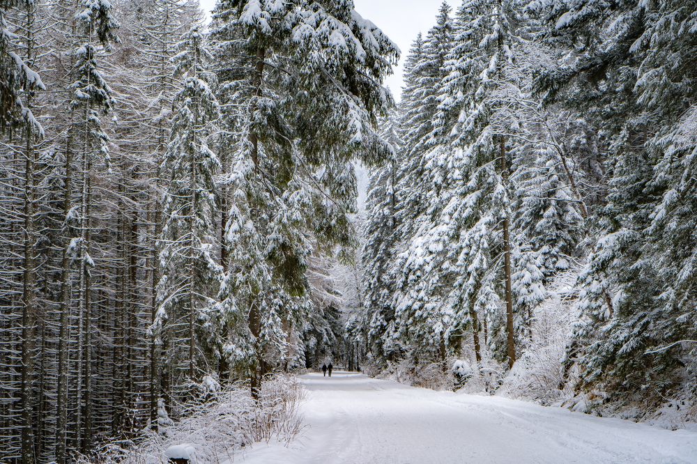 Photograph by Алексей Цецохо