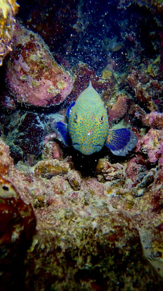 Photograph by Мария Берёзка