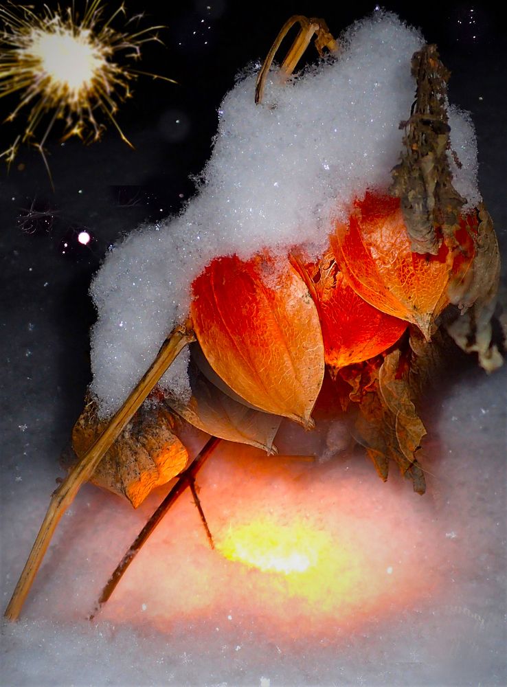 Оранжевое настроение